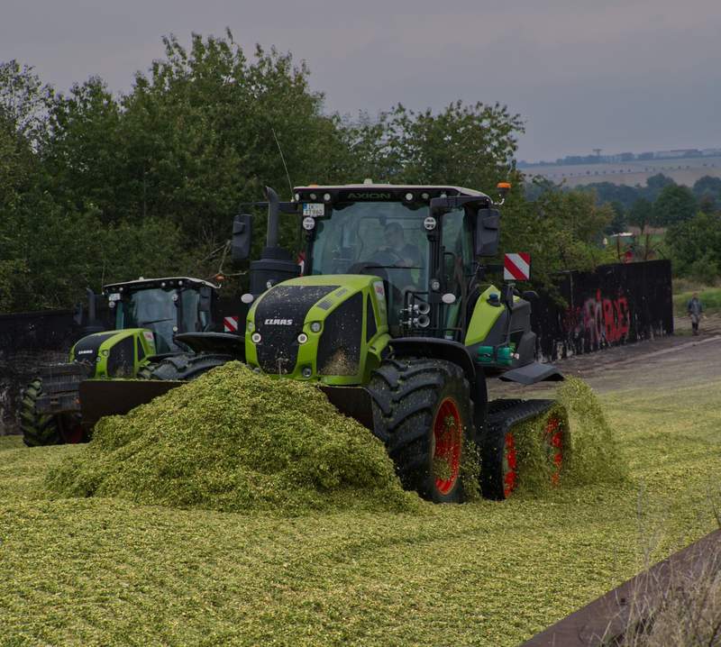 Zwei Traktoren verdichten frisch gehäckselte Maissilage im Fahrsilo eines landwirtschaftlichen Betriebs