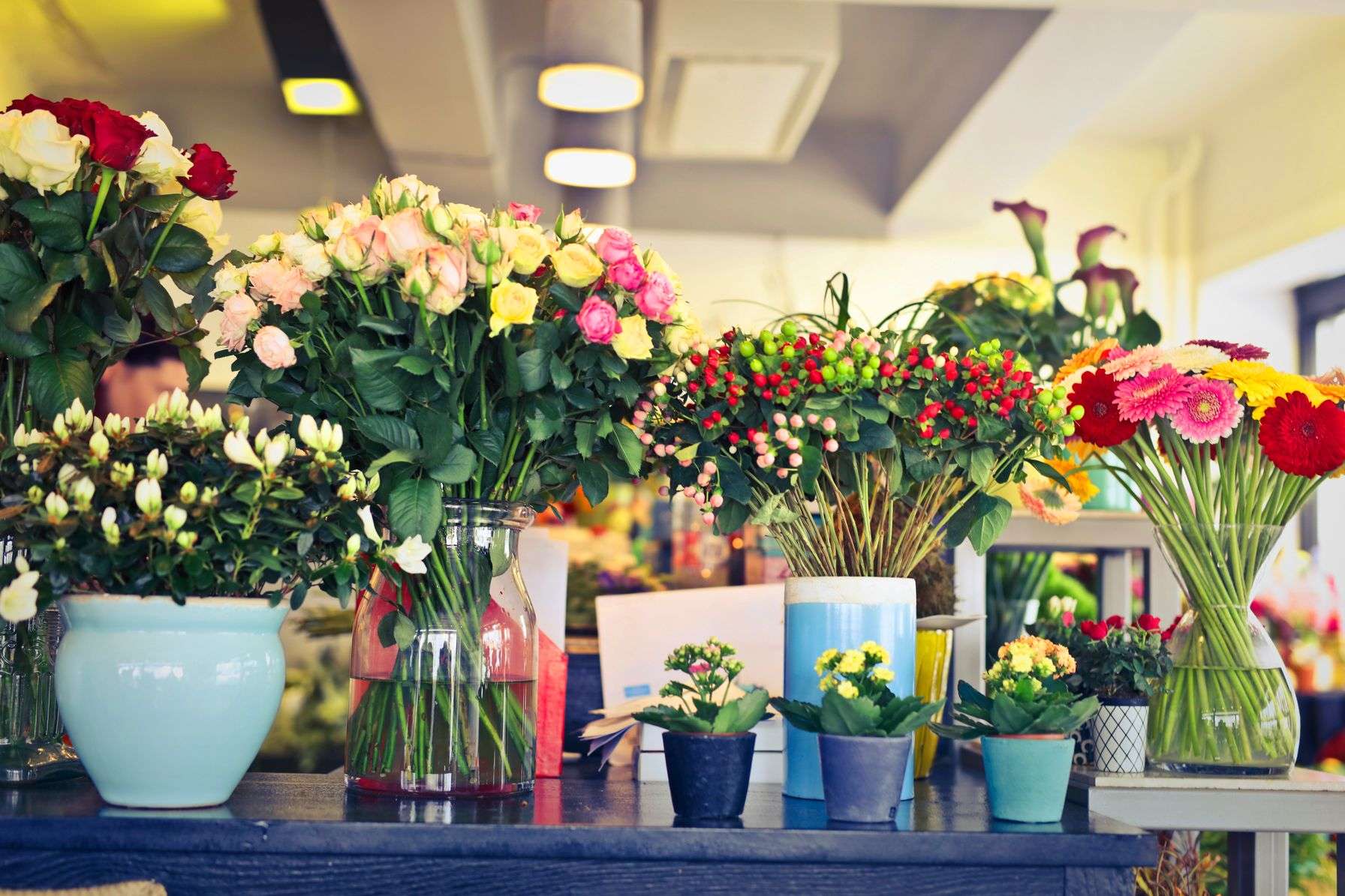Innenraum eines Blumenladens mit Rosen, Gerbera und Topfpflanzen auf einer dunklen Ladentheke, Tageslicht von der Fensterseite