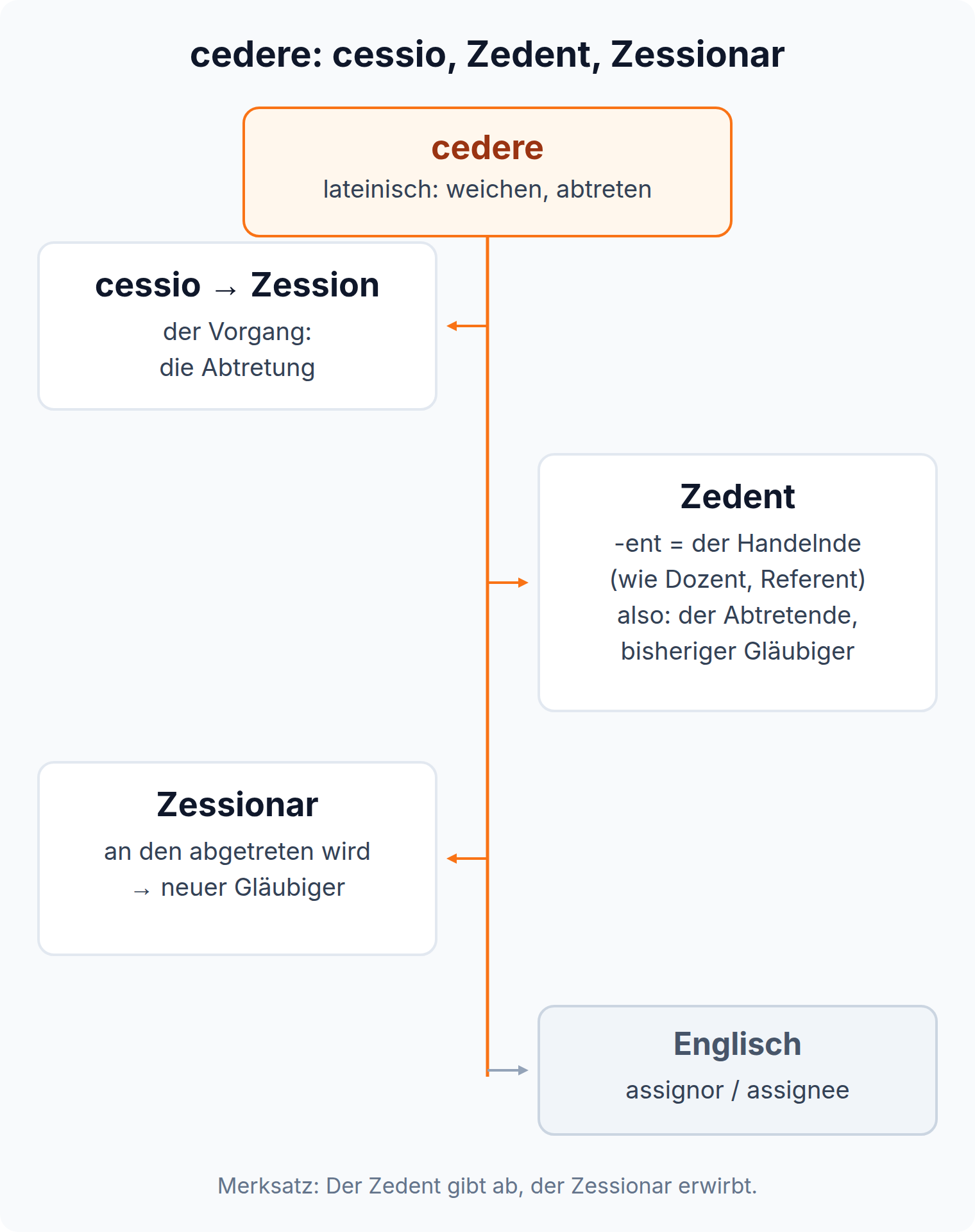 Wortbaum: cedere (lateinisch weichen, abtreten) verzweigt zu cessio und Zession, Zedent als der Abtretende, Zessionar als neuer Gläubiger und englisch assignor und assignee