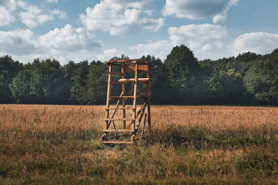 Hölzerner Jagdhochsitz am Rand eines Getreidefelds vor einem Waldstreifen