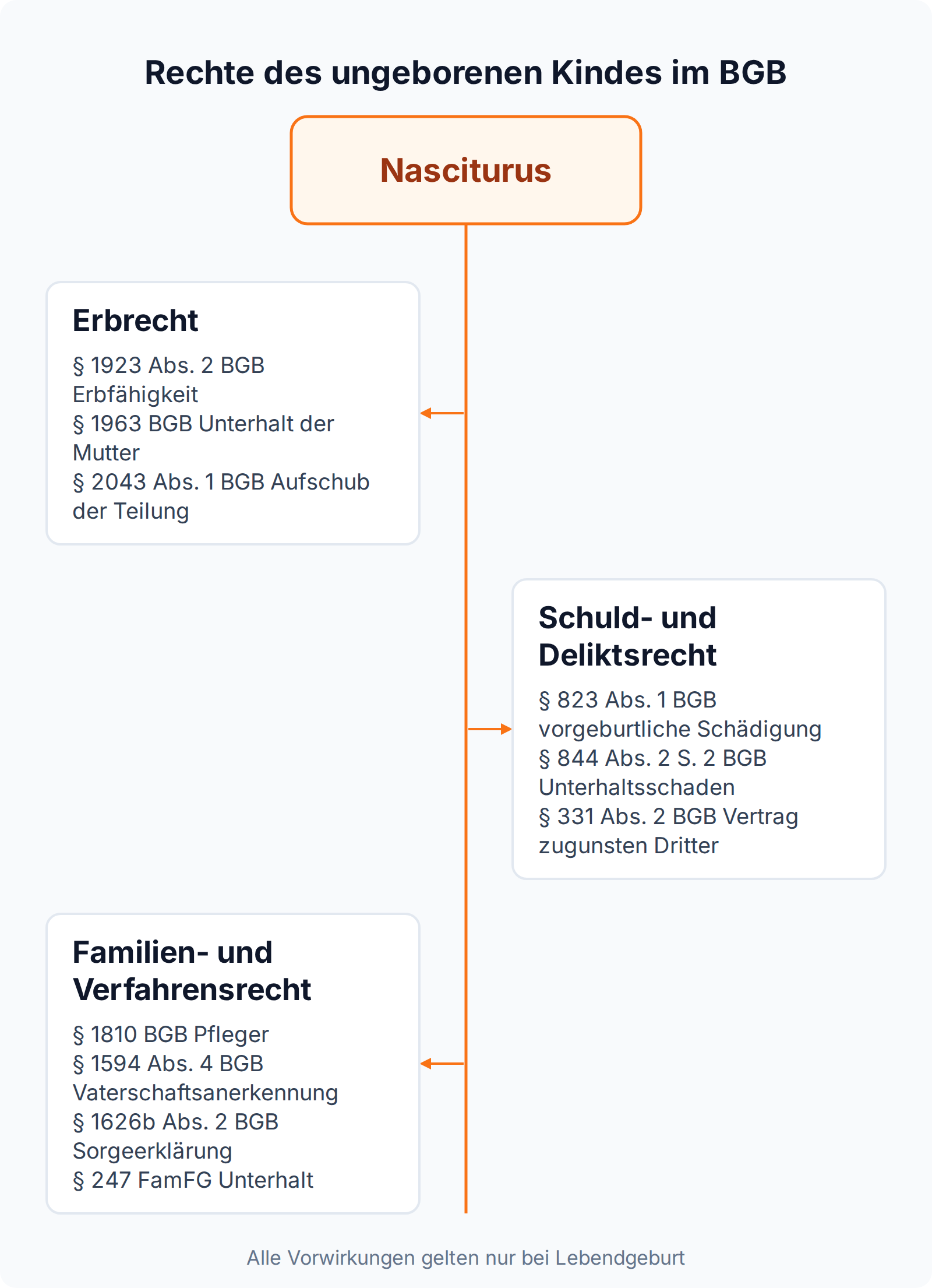 Mindmap: Rechte des ungeborenen Kindes im Erbrecht, im Schuld- und Deliktsrecht sowie im Familien- und Verfahrensrecht, jeweils nur bei Lebendgeburt