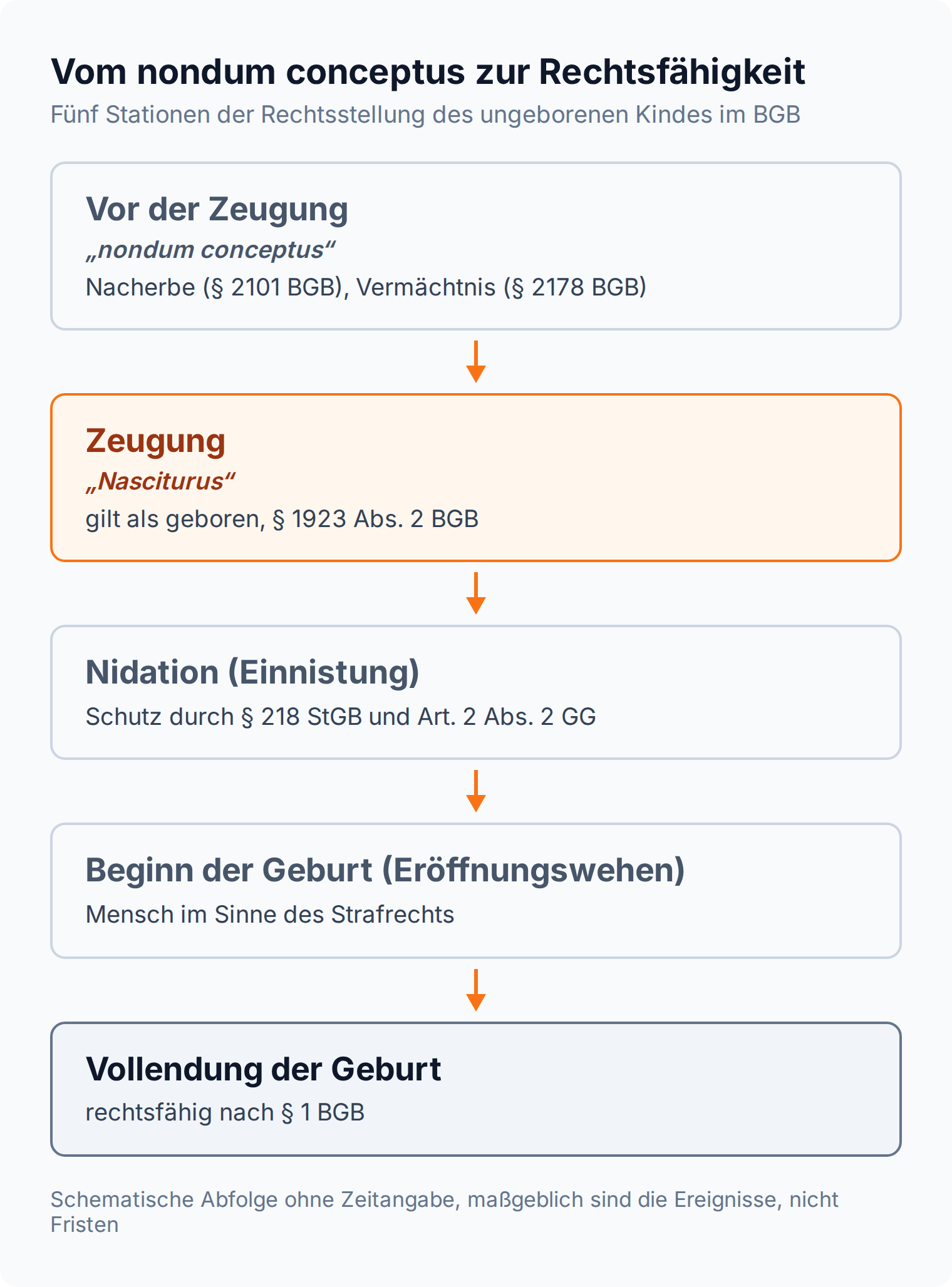 Zeitstrahl: fünf Stationen vom nondum conceptus über Zeugung, Nidation und Geburtsbeginn bis zur Rechtsfähigkeit nach § 1 BGB