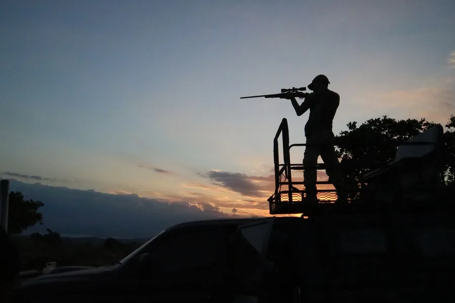 Silhouette eines Jägers mit Gewehr auf einem erhöhten Ansitz am Waldrand in der Abenddämmerung