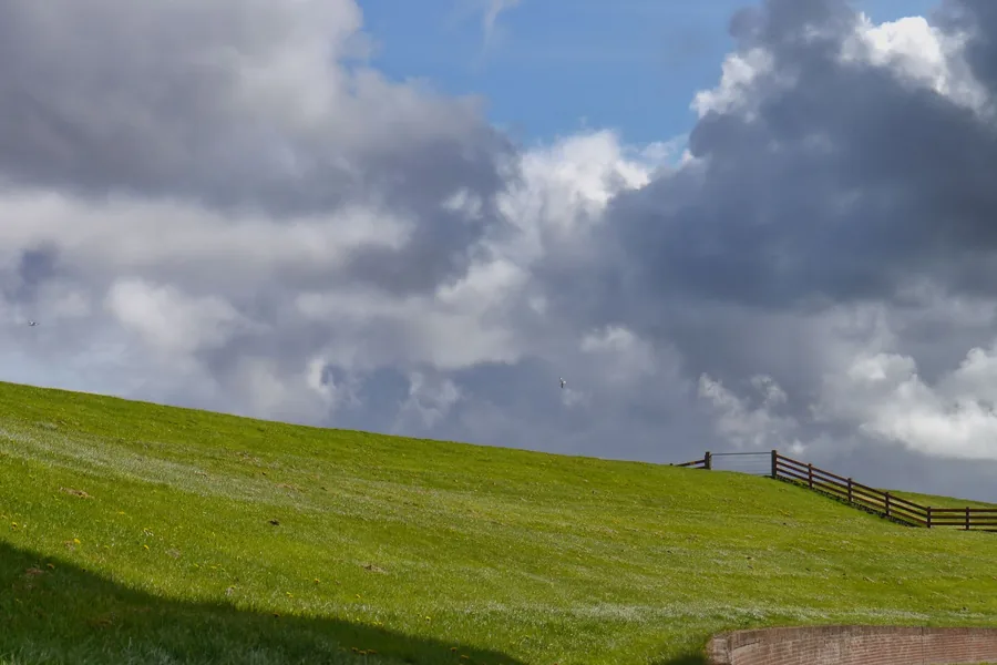 Grasbewachsener Deich unter bewölktem Himmel an der Nordseeküste