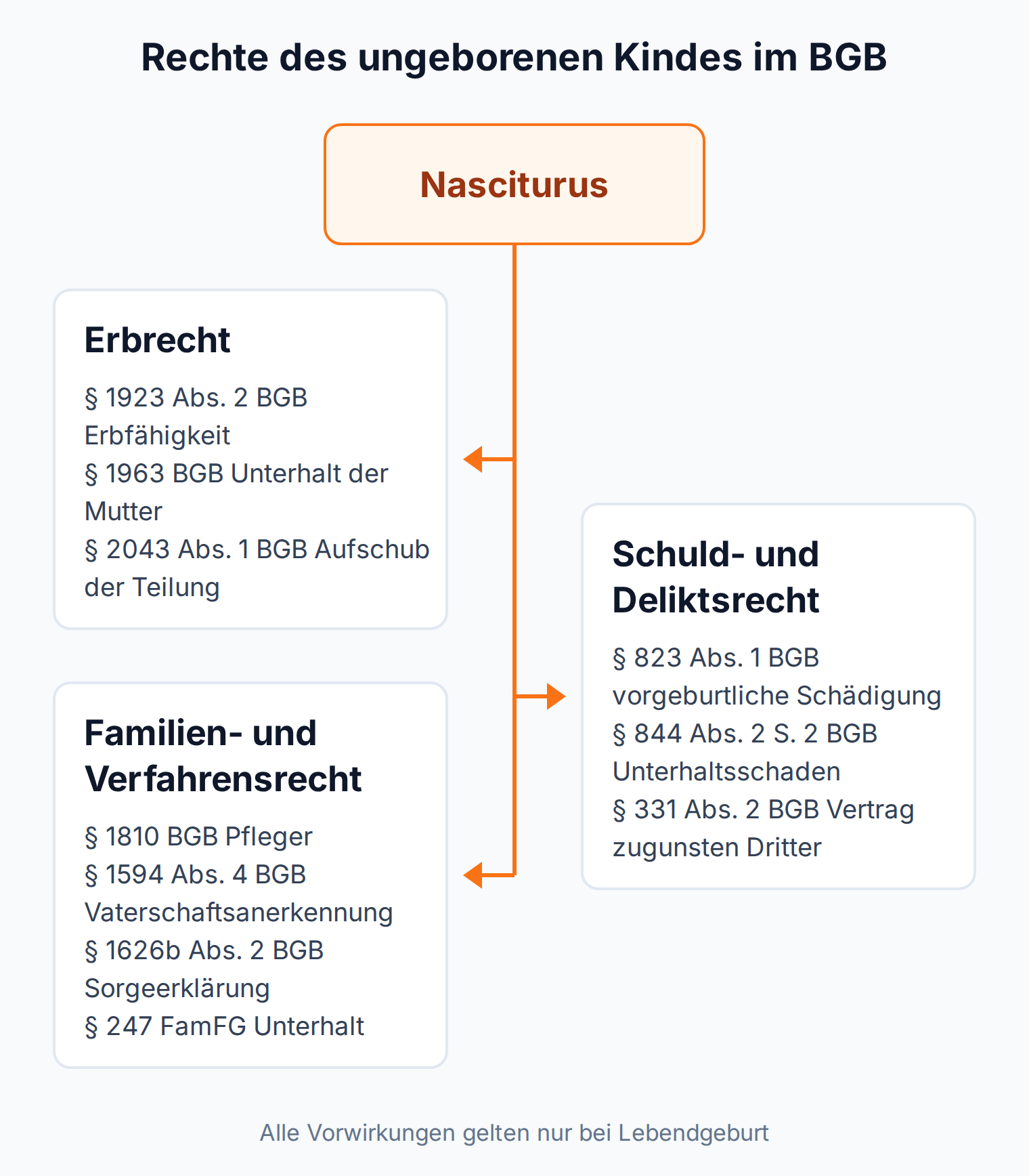 Mindmap: Rechte des ungeborenen Kindes im Erbrecht, im Schuld- und Deliktsrecht sowie im Familien- und Verfahrensrecht, jeweils nur bei Lebendgeburt