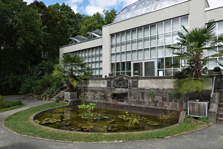 Das Palmenhaus im Botanischen Garten Gießen mit Seerosenteich und Kübelpalmen davor