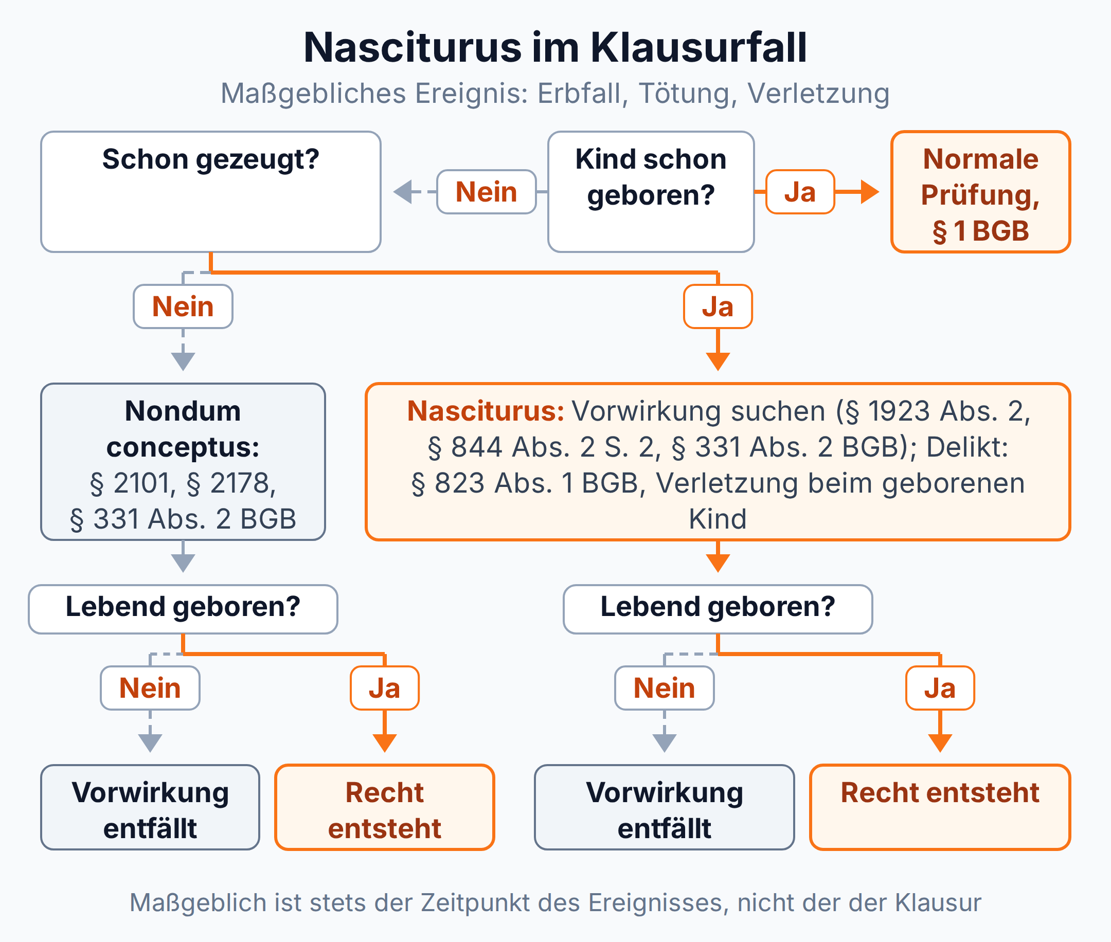 Entscheidungsbaum: Prüfung des Nasciturus im Klausurfall nach Geburt, Zeugung und Lebendgeburt