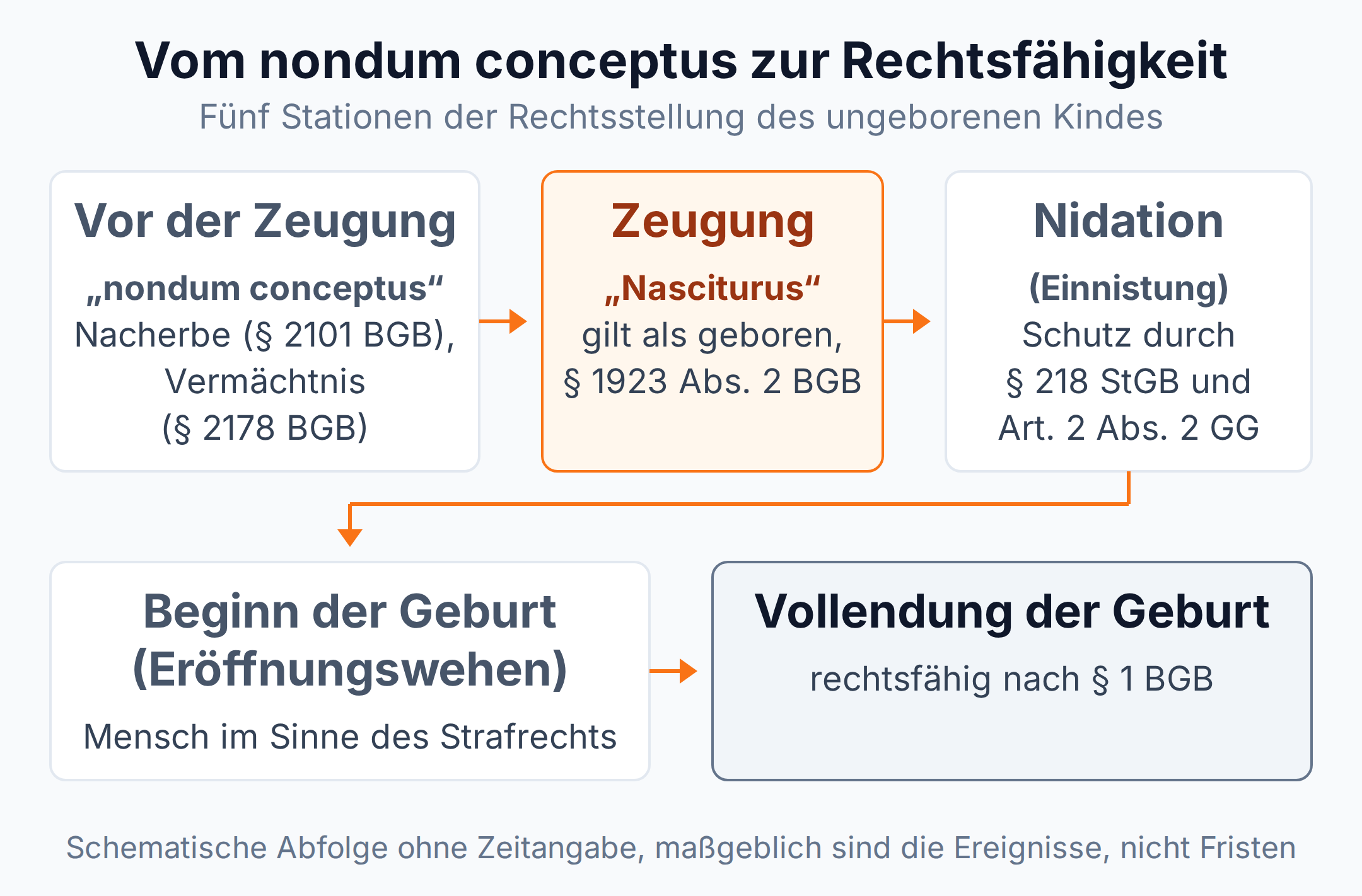 Zeitstrahl: fünf Stationen vom nondum conceptus über Zeugung, Nidation und Geburtsbeginn bis zur Rechtsfähigkeit nach § 1 BGB