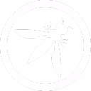 OWASP