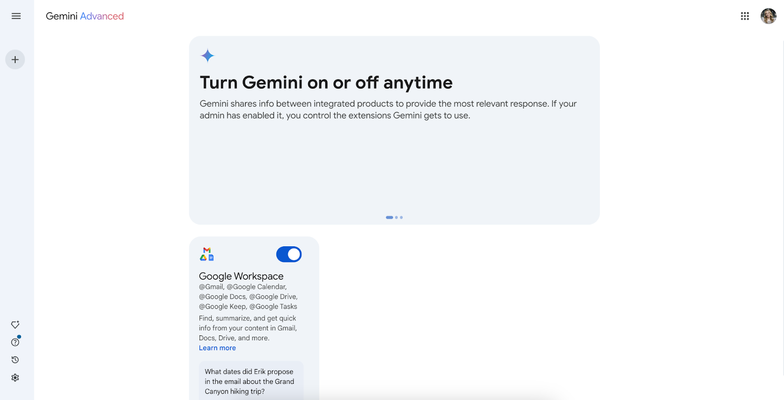 extension access options gemini