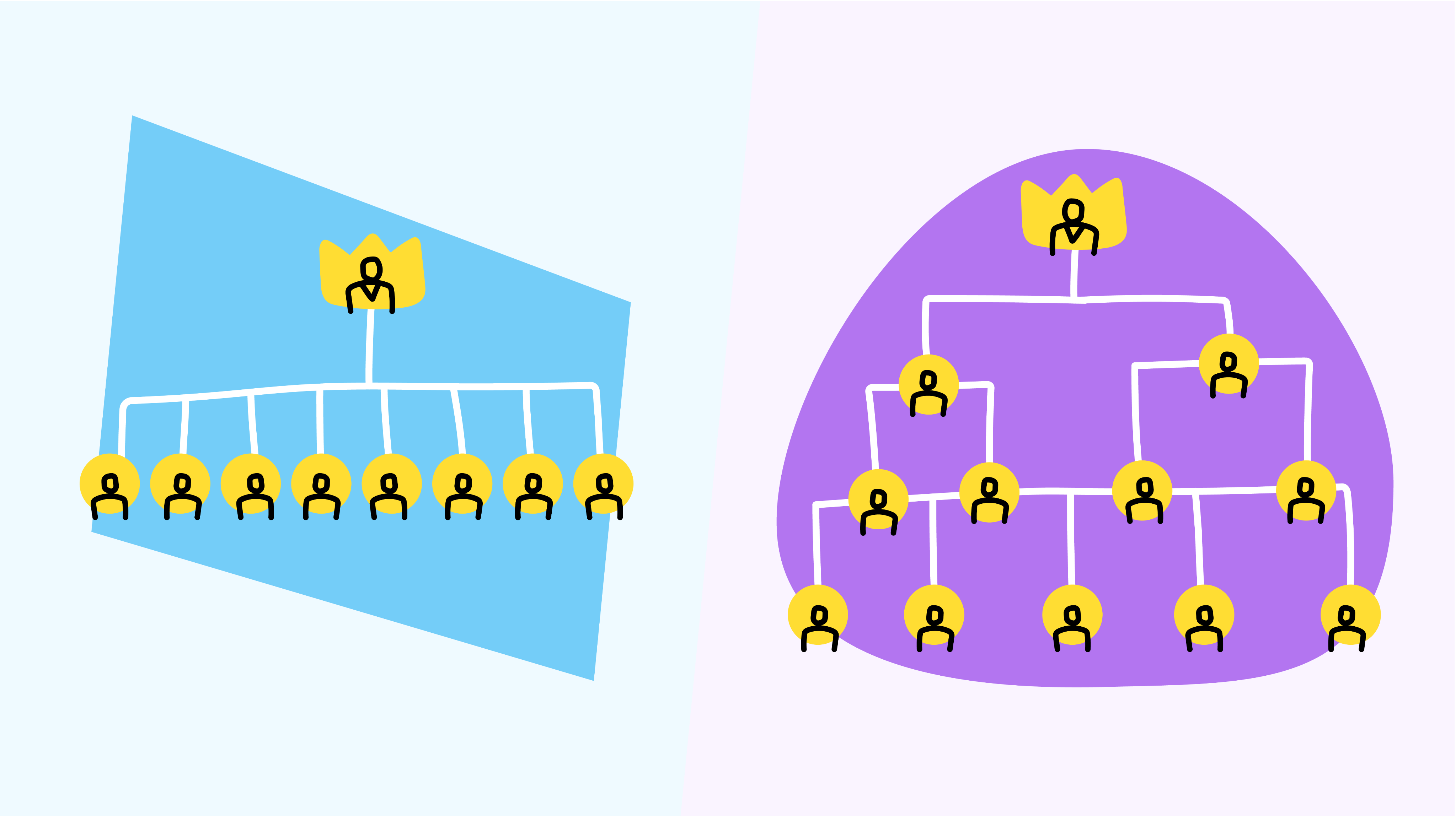 Flat vs hierarchical organizational structure