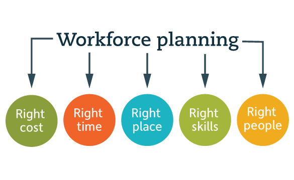 Components of workforce planning