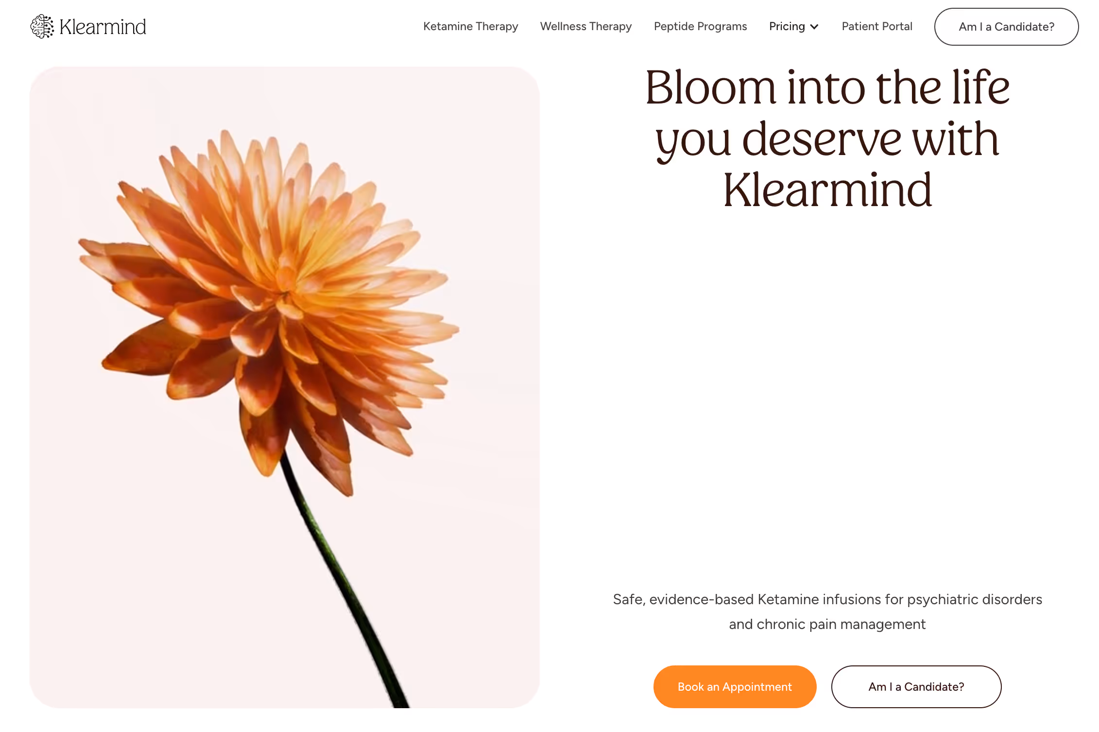 Klearmind Website: Brandign and Website by Pixeto