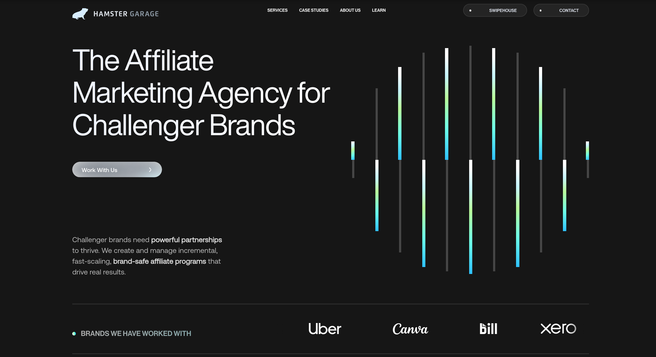 HamsterGarage Website: Branding and Website by Pixeto