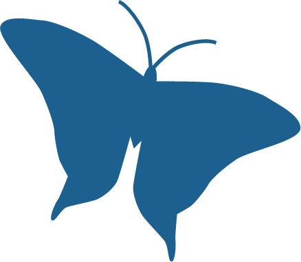 blue butterfly