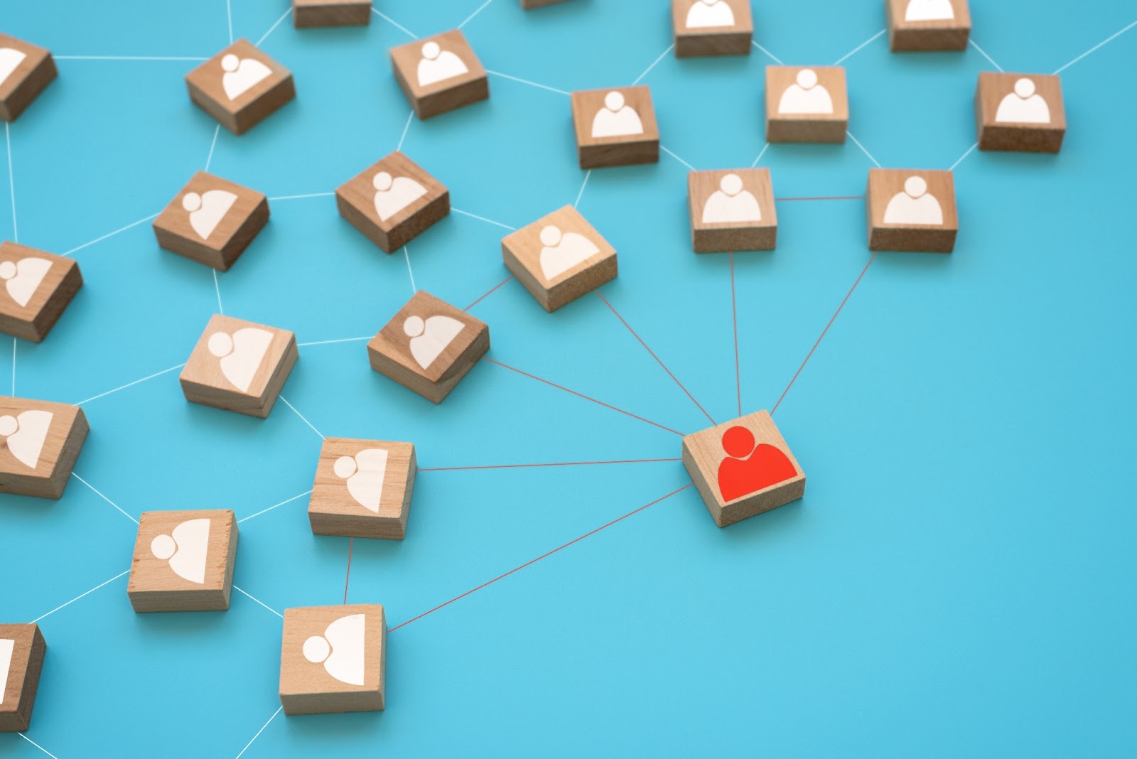 digital touchpoints, online reviews, consistent branding, professional design, social proof