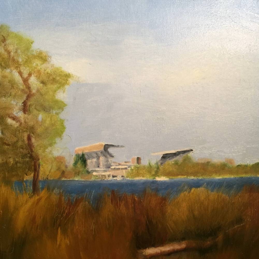 Husky Stadium Foster Island View | Marilynn Batt Art | Mount Vernon, WA