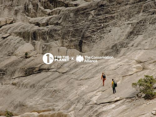 ONE FOR ALL AND ALL FOR ONE ON ENVIRONMENTAL ACTION visual data 4