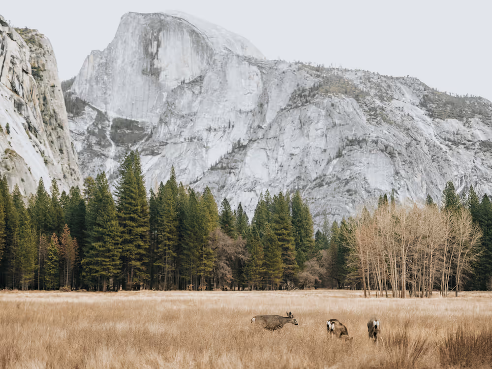 We're here to protect wild spaces for the long haul.