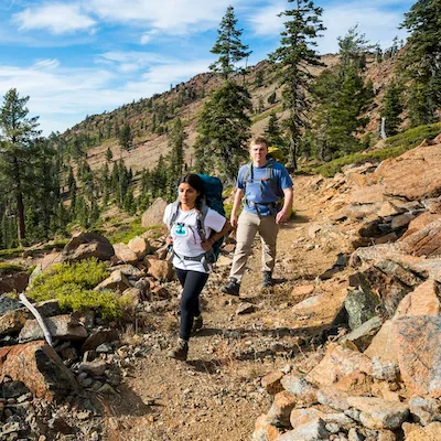 Two people hiking on a rocky path among pine trees.