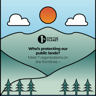 An illustrative nature image with text that says, "Who's protecting our public lands?"