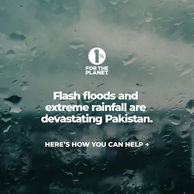 Rain on a window pain with text that says, "Flash floods and extreme rainfall are devastating Pakistan."