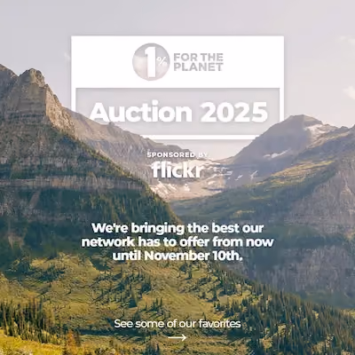 Mountains with text that says "Auction 2025. See some of our favorites."