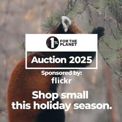 A furry animal with text that says "Shop small this holiday season."