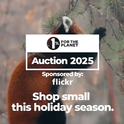 A furry animal with text that says "Shop small this holiday season."