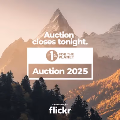 A mountain at sunset with text that says "Auction closes tonight."
