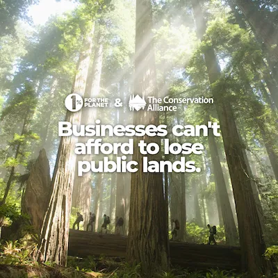 Redwoods with text that says, "Businesses can't afford to lose public lands."