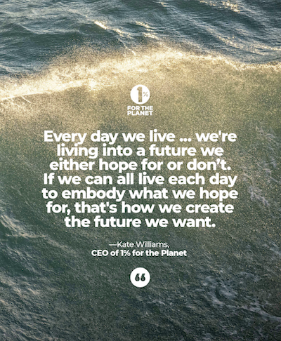 A blue-green water picture with words from CEO, Kate Williams.