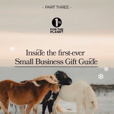 Horses in a snowy field with text that says, "Inside our first-ever Small Business Gift Guide."