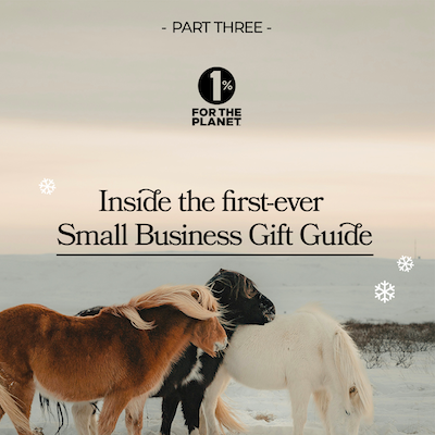 Horses in a snowy field with text that says, "Inside our first-ever Small Business Gift Guide."