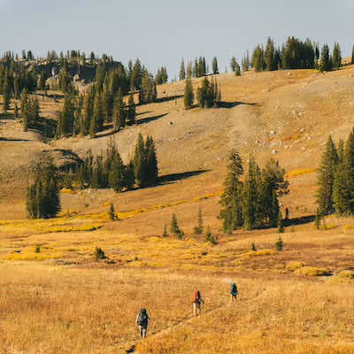 People hiking in the Teton National Park.