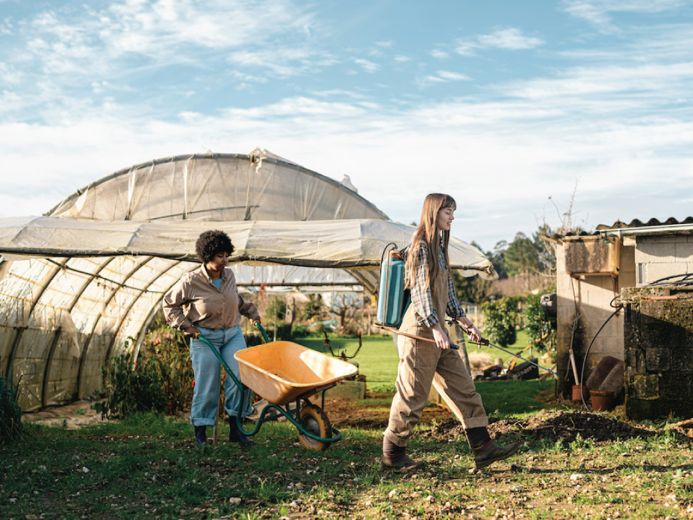 Turn your efforts into credibility.