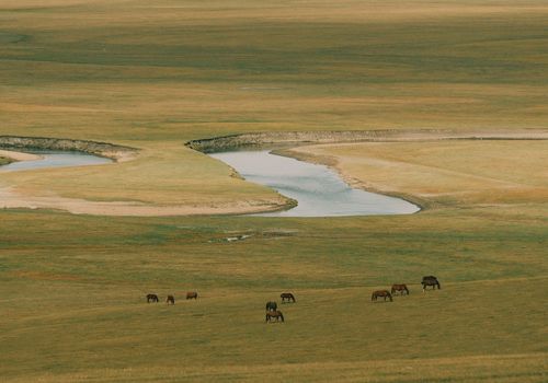 How a long-term plan is key to making a real impact.