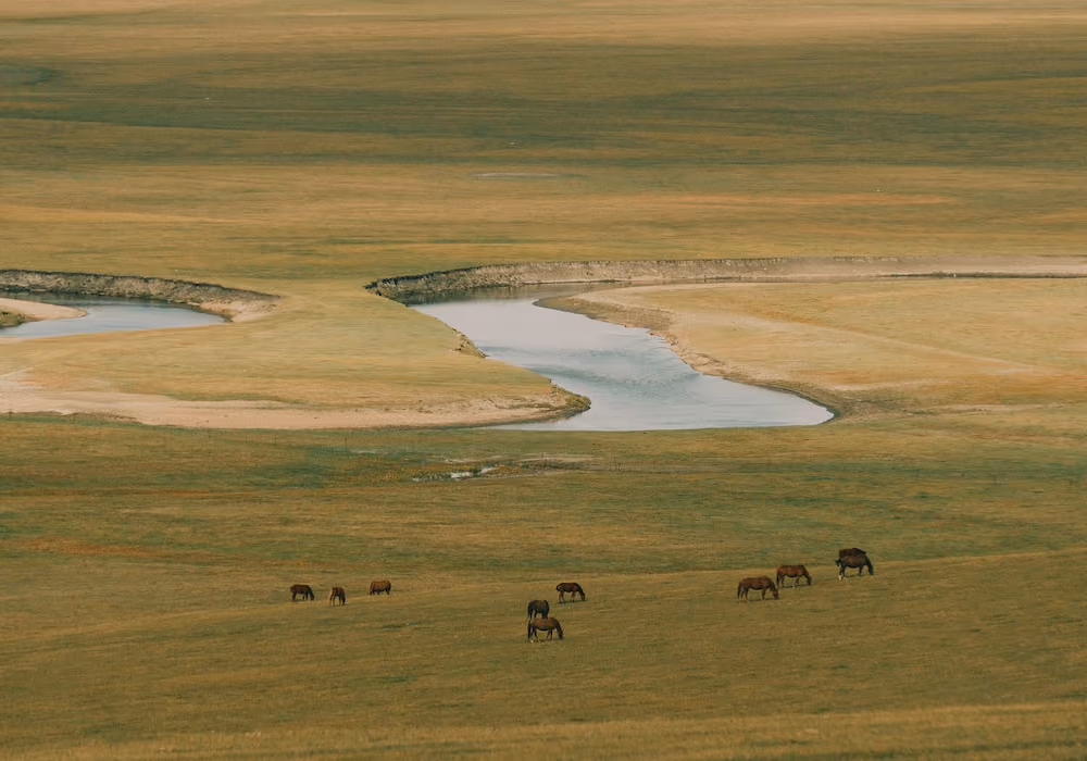 Wide grassy field with a winding river and a group of horses grazing peacefully.