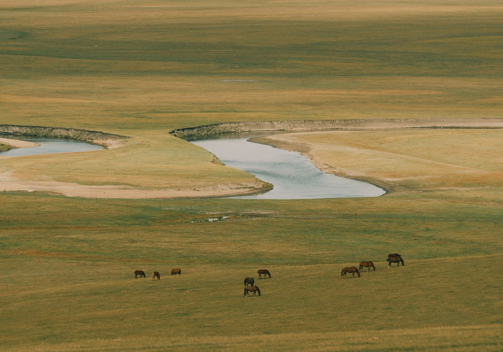 How a long-term plan is key to making a real impact.