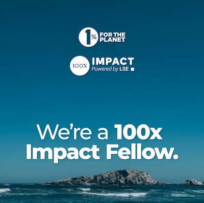 Blue ocean with text that says, "We're a 100x Impact Fellow."