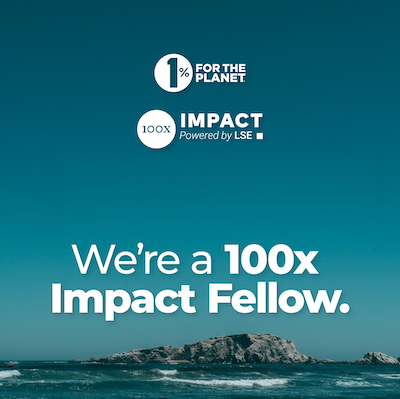 Blue ocean with text that says, "We're a 100x Impact Fellow."