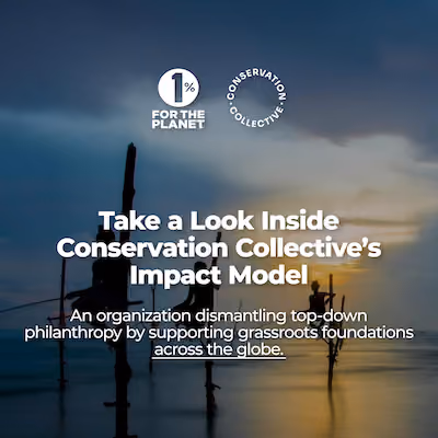 A dark blue sunset sky with text that says, "Take aLook Inside Conservation Collective's Impact Model."
