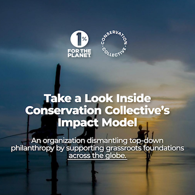 A dark blue sunset sky with text that says, "Take aLook Inside Conservation Collective's Impact Model."