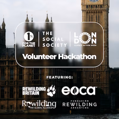 London cityscape with text that says, "Volunteer Hackathon."