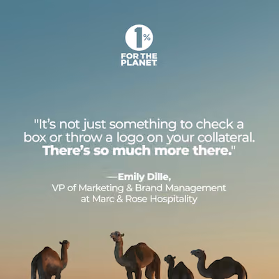 An image of camels with a quote from Emily Dille.