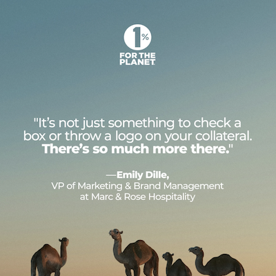An image of camels with a quote from Emily Dille.