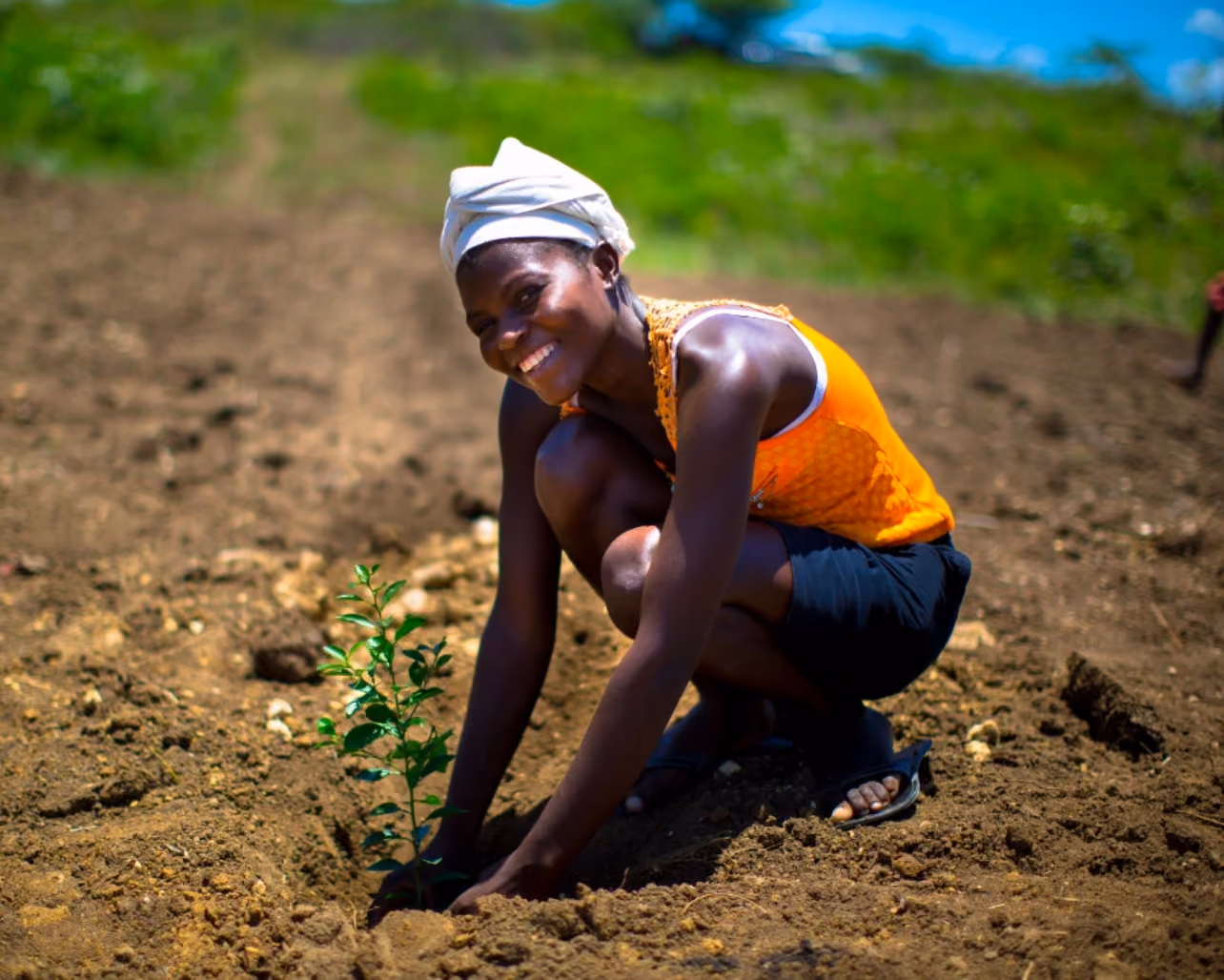  Photo by One Tree Planted 