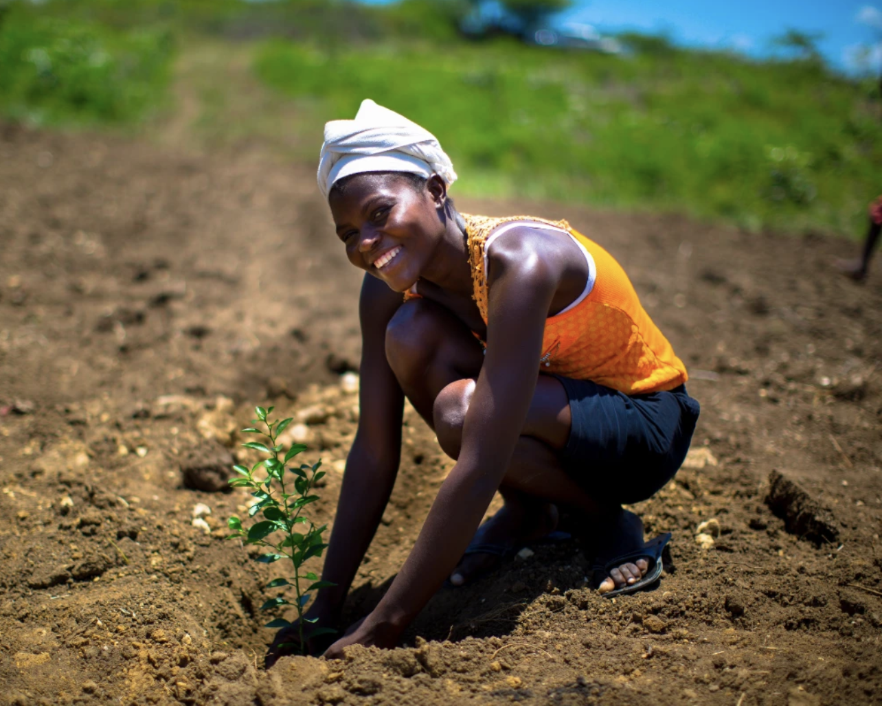  Photo by One Tree Planted 