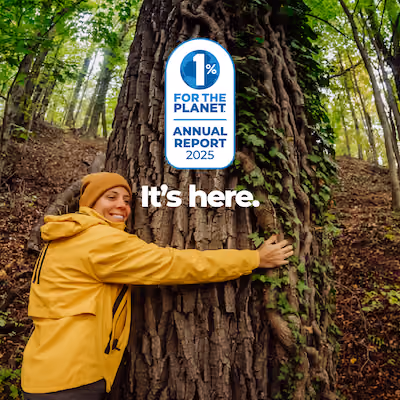 A person in a yellow jacket hugging a tree with text that says, "It's here."