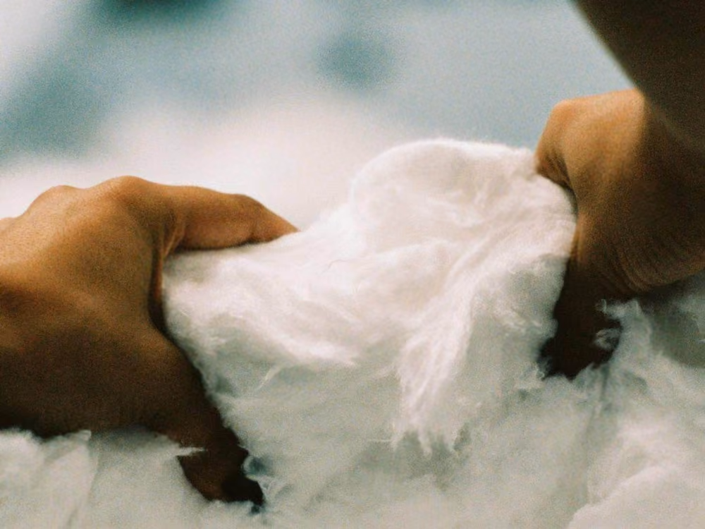 Two hands pulling apart soft, fluffy white cotton fiber under natural light.